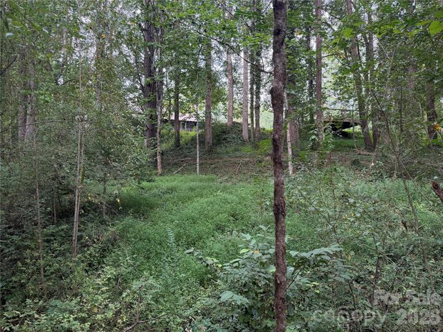 Off Meadowbrook Circle, Brevard, NC 28712