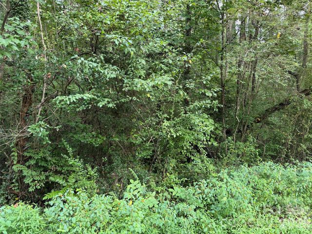 Off Meadowbrook Circle, Brevard, NC 28712