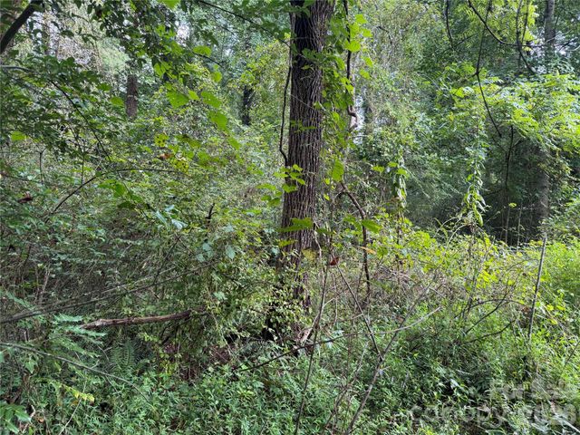 Off Meadowbrook Circle, Brevard, NC 28712