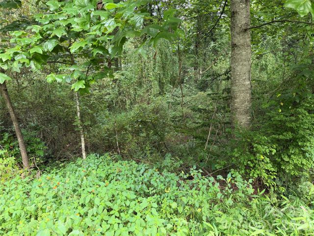 Off Meadowbrook Circle, Brevard, NC 28712