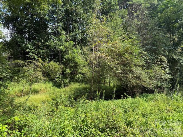 Off Meadowbrook Circle, Brevard, NC 28712