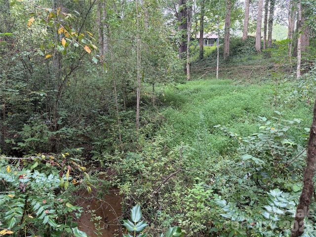 Off Meadowbrook Circle, Brevard, NC 28712