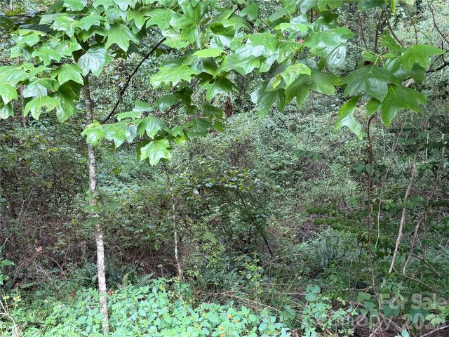 Off Meadowbrook Circle, Brevard, NC 28712