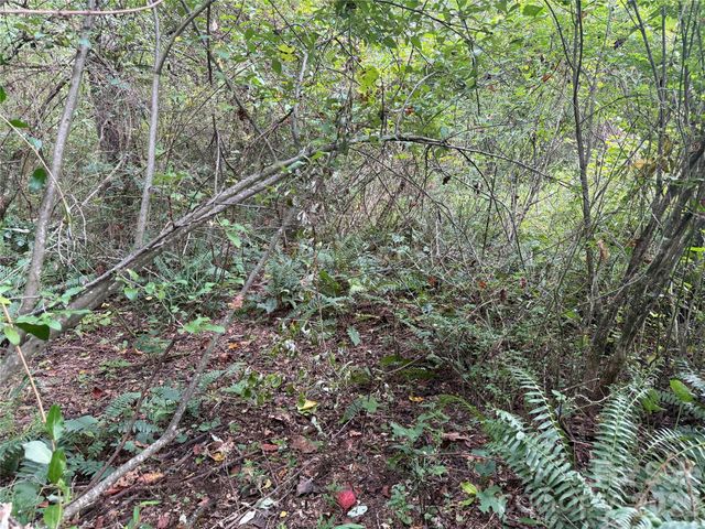 Off Meadowbrook Circle, Brevard, NC 28712
