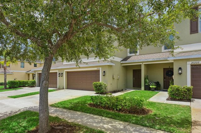 20220 POND APPLE LANE, Tampa, FL 33647