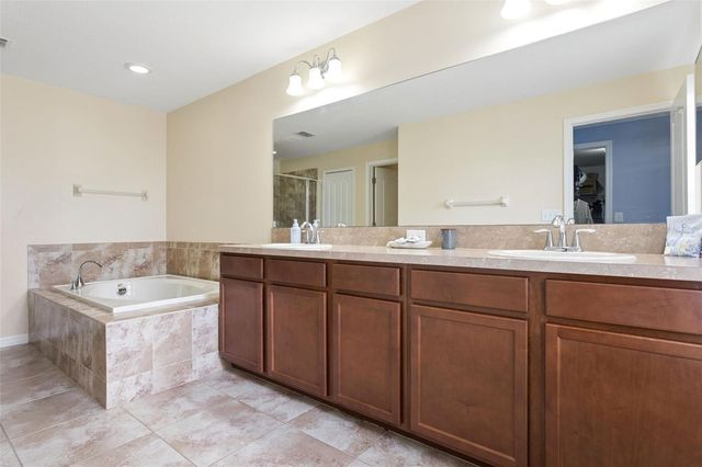 20220 POND APPLE LANE, Tampa, FL 33647
