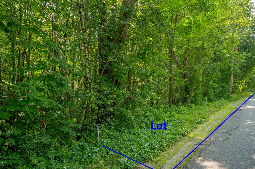 Lot #0 Heath Road, Casco, ME 04015 — photo 3