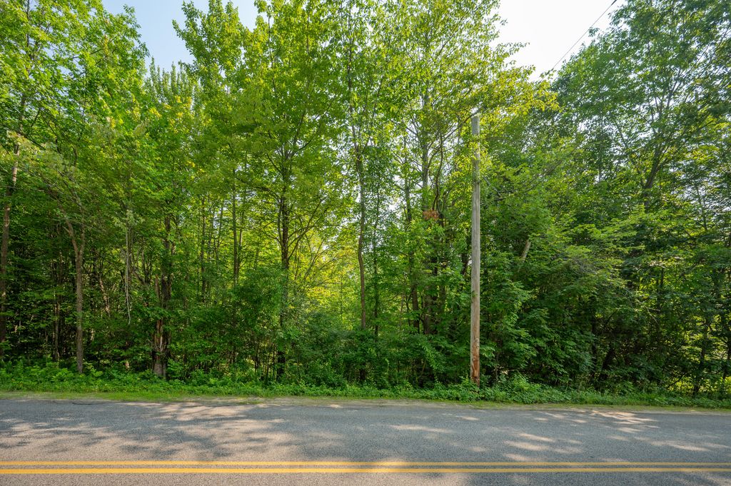 Lot #0 Heath Road, Casco, ME 04015 — photo 4