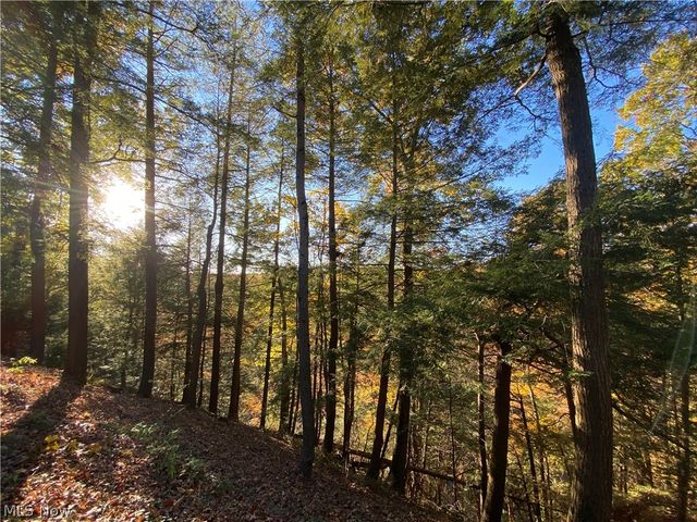 1200 Yellow Creek Lane, Akron, OH 44333