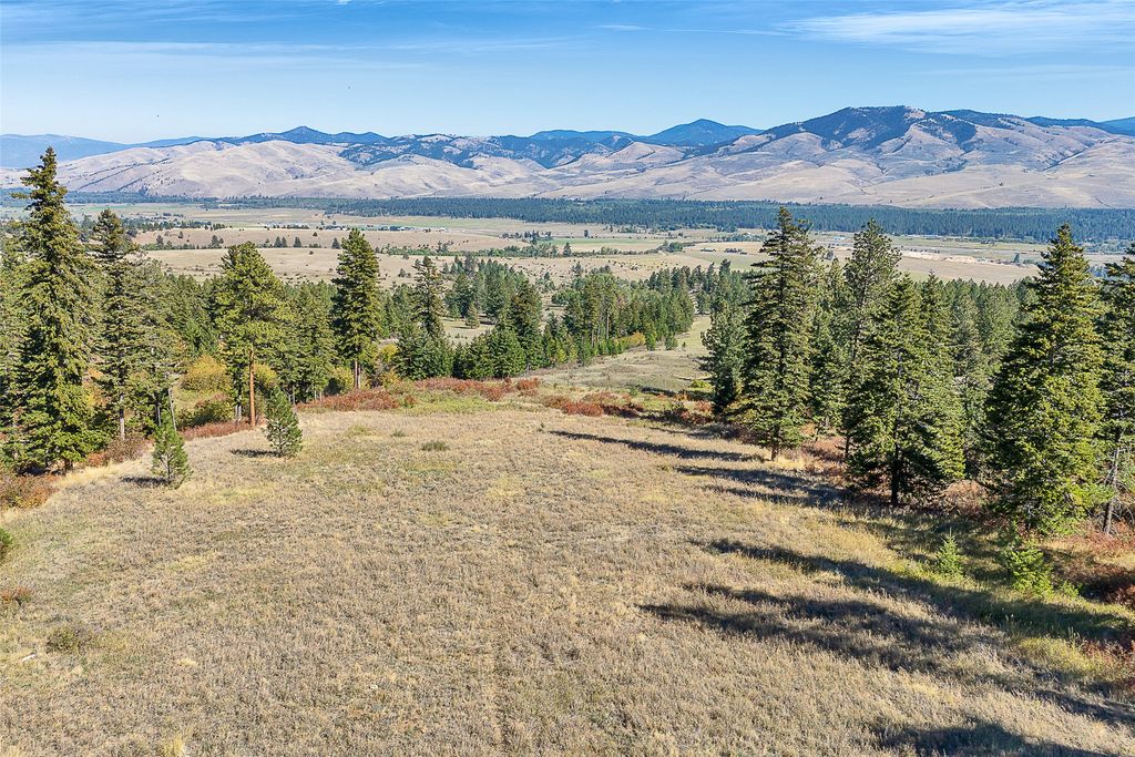 000 Elk Mountain Reserve, Florence, MT 59833