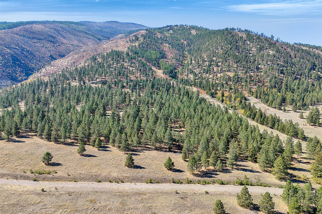 000 Elk Mountain Reserve, Florence, MT 59833 photo 13