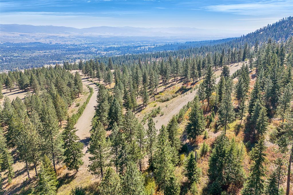 000 Elk Mountain Reserve, Florence, MT 59833 photo 14