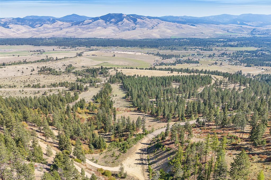 000 Elk Mountain Reserve, Florence, MT 59833 photo 6