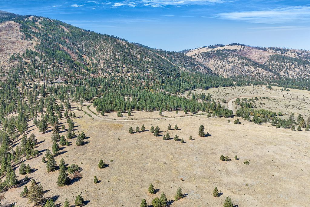 000 Elk Mountain Reserve, Florence, MT 59833 photo 9