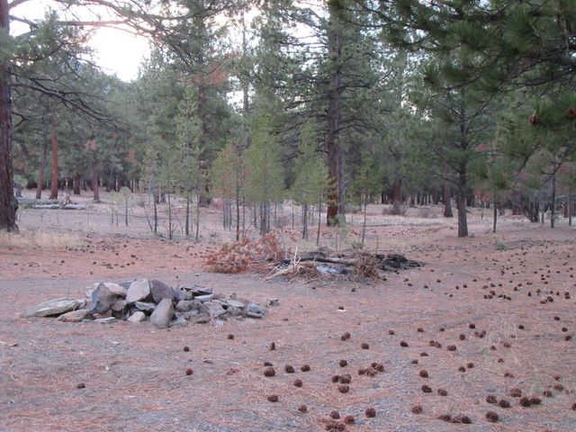 16144 Sprague River Road, Chiloquin, OR 97624