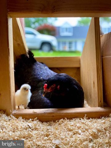 10519 SAMONA AVE, Cockeysville, MD 21030