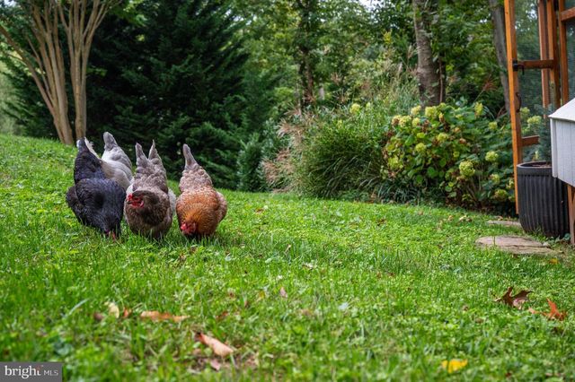 10519 SAMONA AVE, Cockeysville, MD 21030