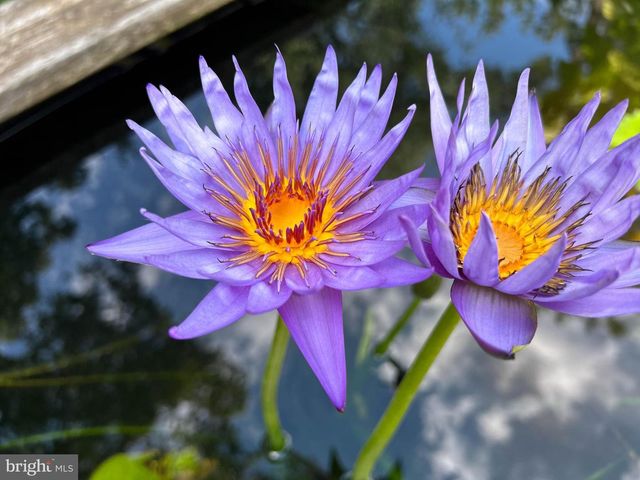 10519 SAMONA AVE, Cockeysville, MD 21030