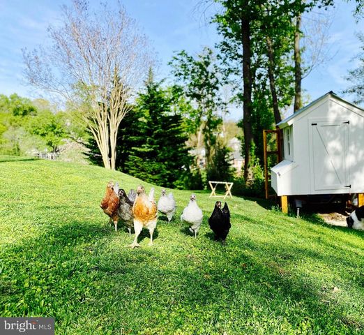 10519 SAMONA AVE, Cockeysville, MD 21030