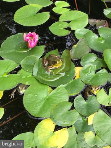 10519 SAMONA AVE, Cockeysville, MD 21030