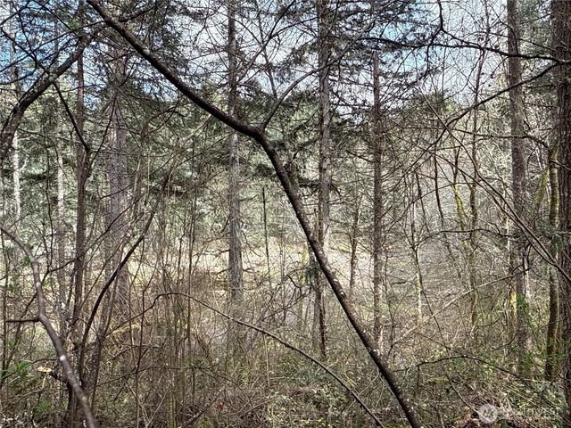 17636 E Clear Lake Boulevard SE, Yelm, WA 98597