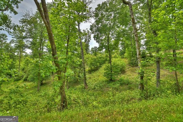 LOT 13 Hidden Acres 13, Blue Ridge, GA 30513