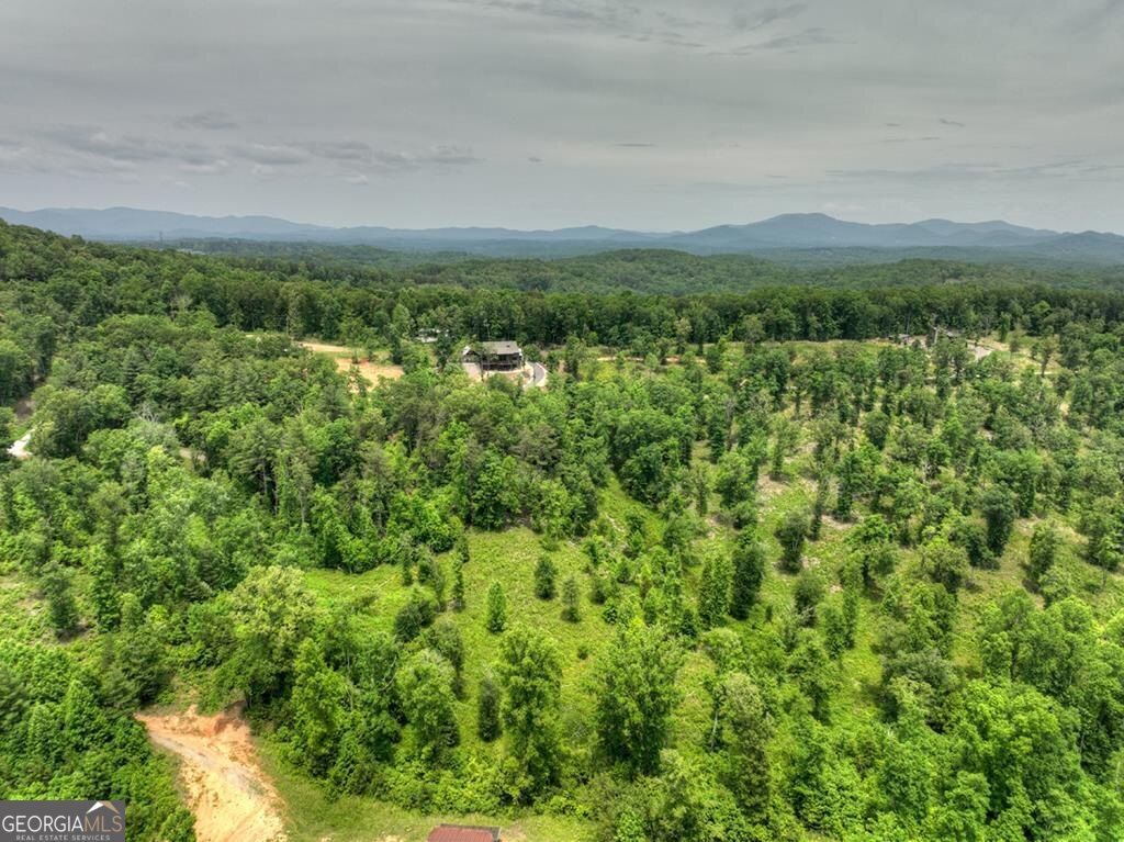 LOT 13 Hidden Acres 13, Blue Ridge, GA 30513