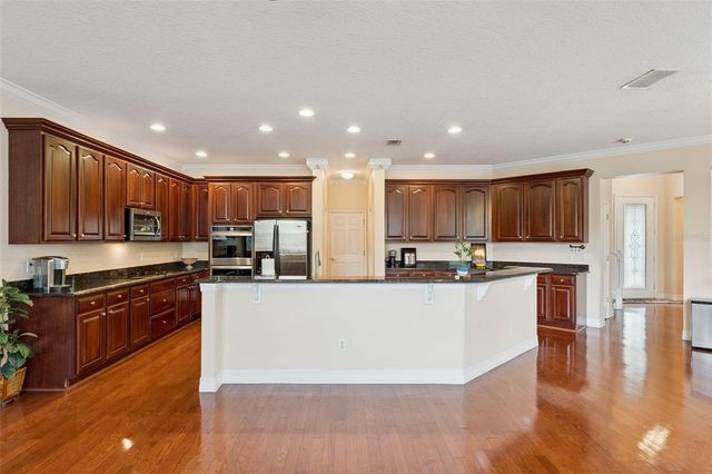 14790 TULLAMORE LOOP, Winter Garden, FL 34787