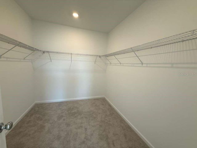 3111 MINDFULLNESS DRIVE, Clermont, FL 34714