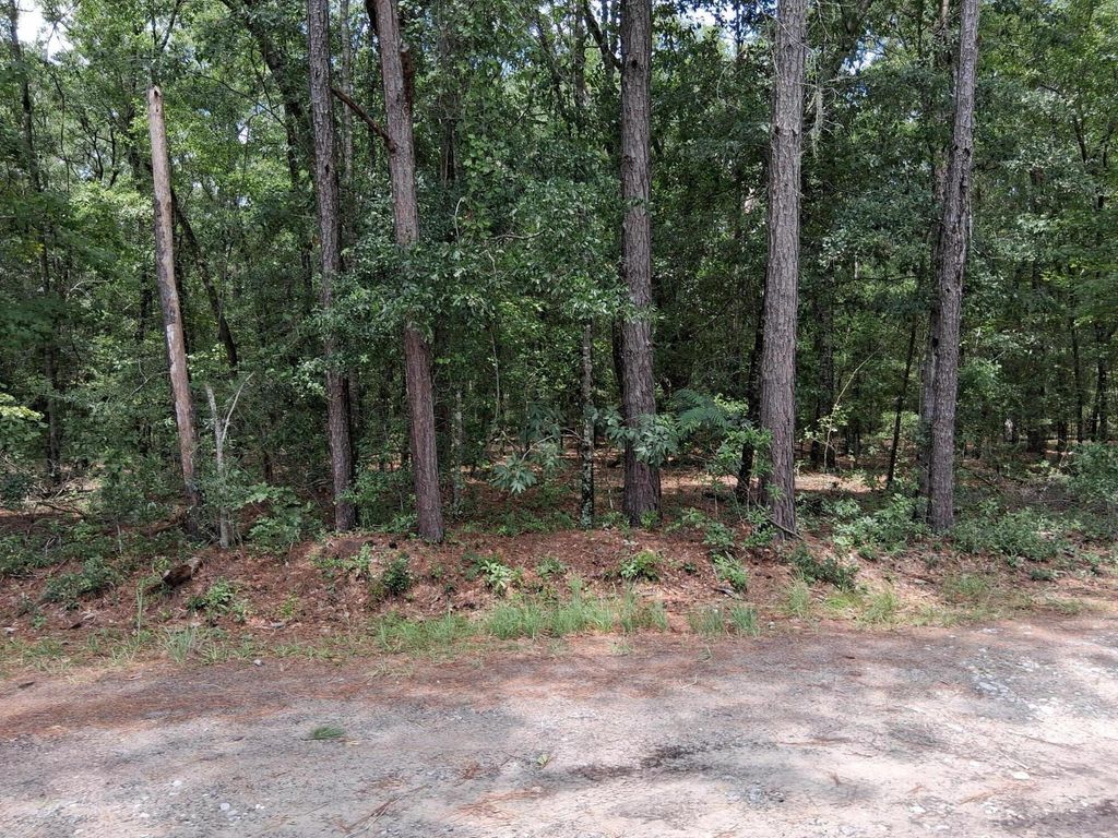 8070 Williford Road, Adams Run, SC 29426