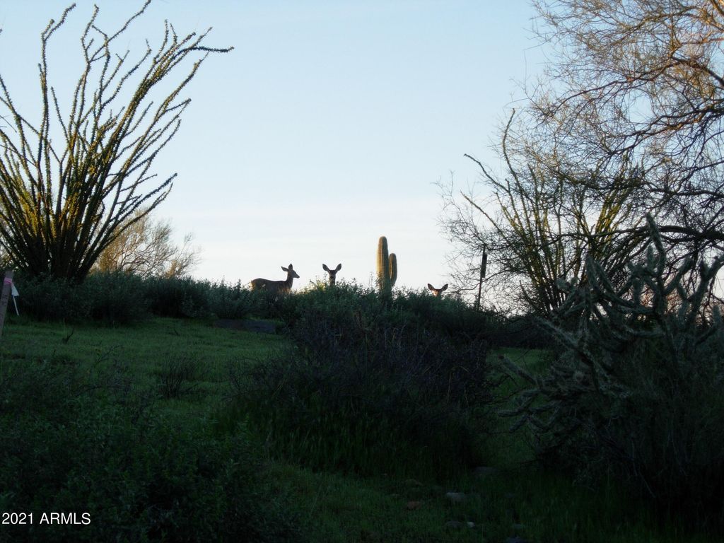 7960 Rising Sun Road -, Carefree, AZ 85377 — photo 2