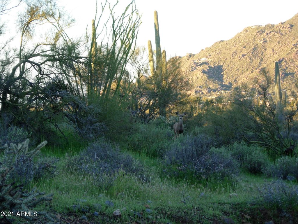 7960 Rising Sun Road -, Carefree, AZ 85377 — photo 4
