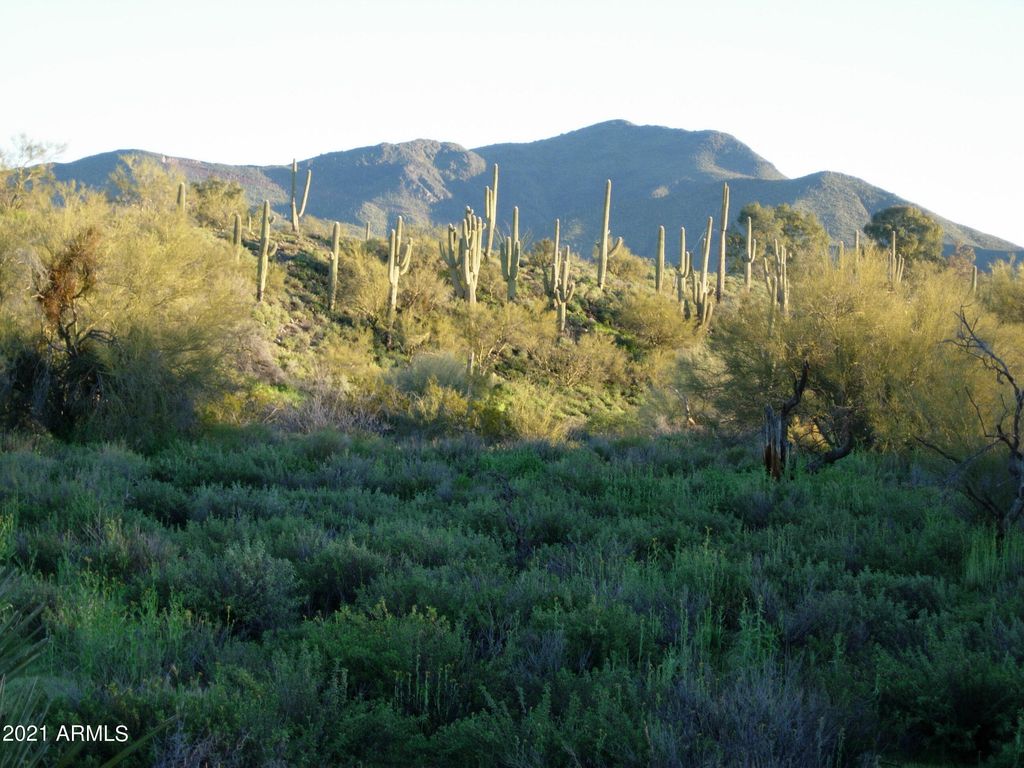 7960 Rising Sun Road -, Carefree, AZ 85377 — photo 5