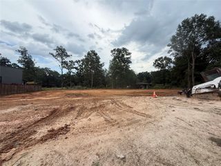 0 Redbird Place, Conroe, TX 77385