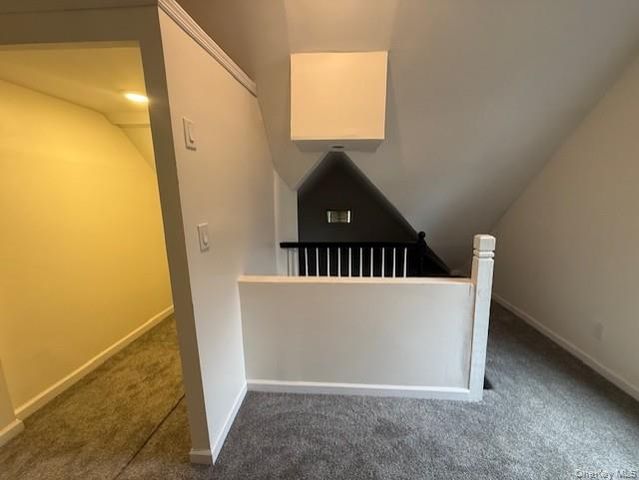 3 Terrace Avenue, White Plains, NY 10603