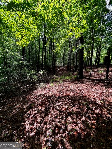 1.08 ACRES 00 Lazy River Lane, Ellijay, GA 30540