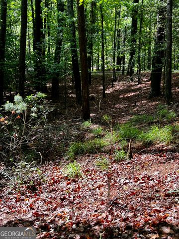 1.08 ACRES 00 Lazy River Lane, Ellijay, GA 30540
