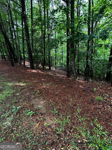 1.08 ACRES 00 Lazy River Lane, Ellijay, GA 30540