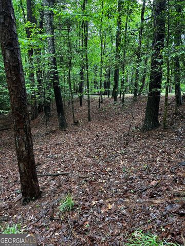 1.08 ACRES 00 Lazy River Lane, Ellijay, GA 30540