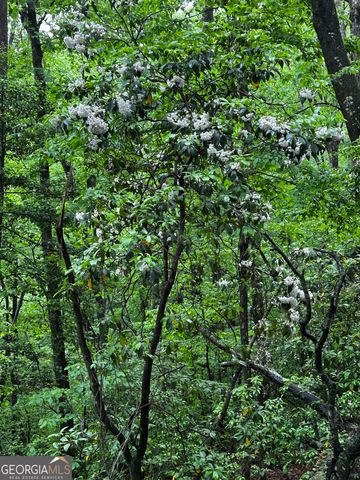 1.08 ACRES 00 Lazy River Lane, Ellijay, GA 30540