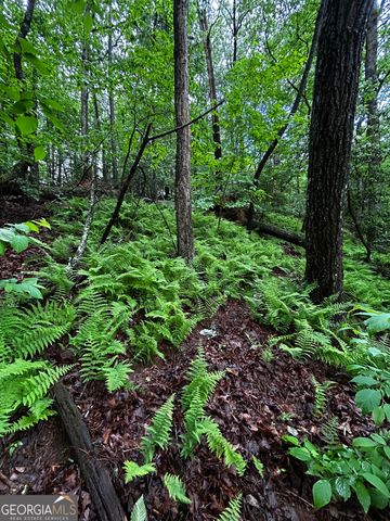 1.08 ACRES 00 Lazy River Lane, Ellijay, GA 30540