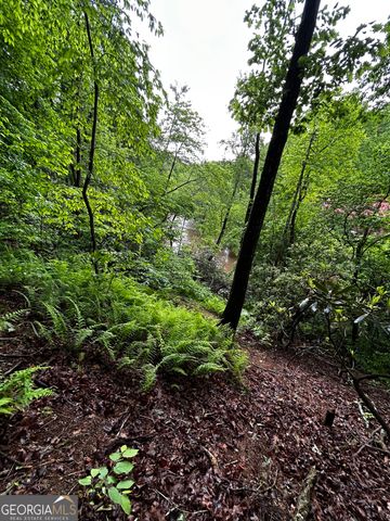 1.08 ACRES 00 Lazy River Lane, Ellijay, GA 30540