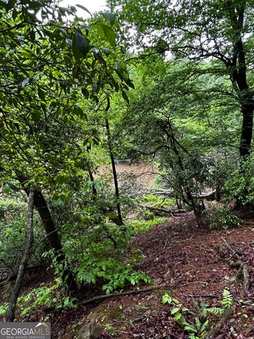1.08 ACRES 00 Lazy River Lane, Ellijay, GA 30540
