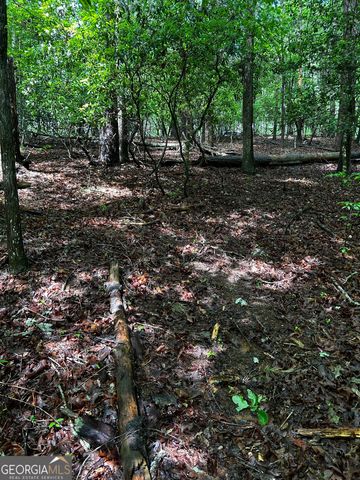 1.08 ACRES 00 Lazy River Lane, Ellijay, GA 30540