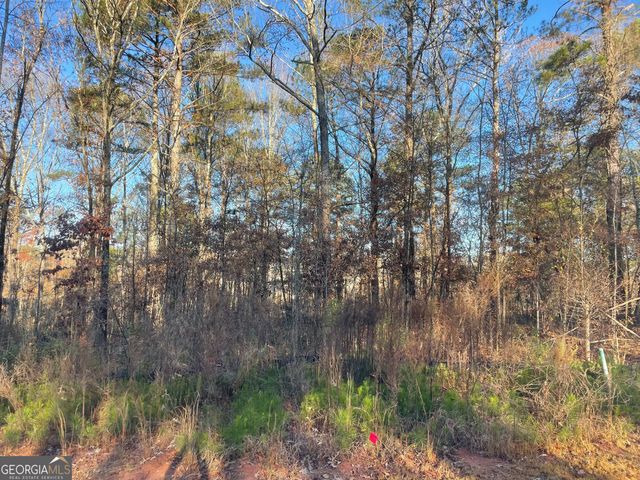 190 Spyglass Circle, Mcdonough, GA 30253