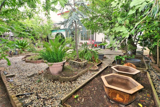 8897 Shasta Lily Dr, Elk Grove, CA 95624