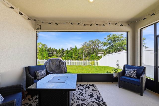 4005 SWAN GOOSE COURT, Okahumpka, FL 34762
