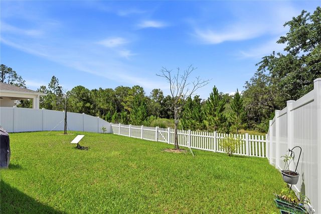 4005 SWAN GOOSE COURT, Okahumpka, FL 34762