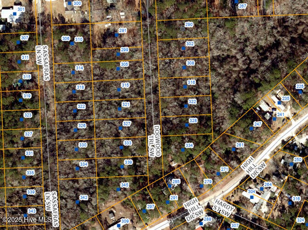339 SW Dogwood Trail, Supply, NC 28462