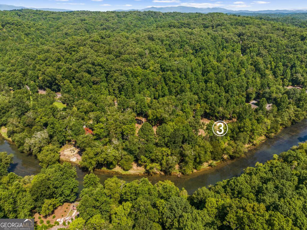 3 Weymans Way, Blue Ridge, GA 30513 — photo 4